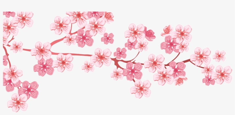Almond Tree - Almond, transparent png download