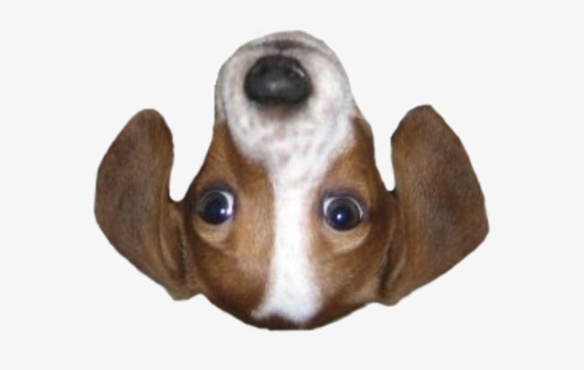 Frankerfacez - Frankerfacez Emote, transparent png download