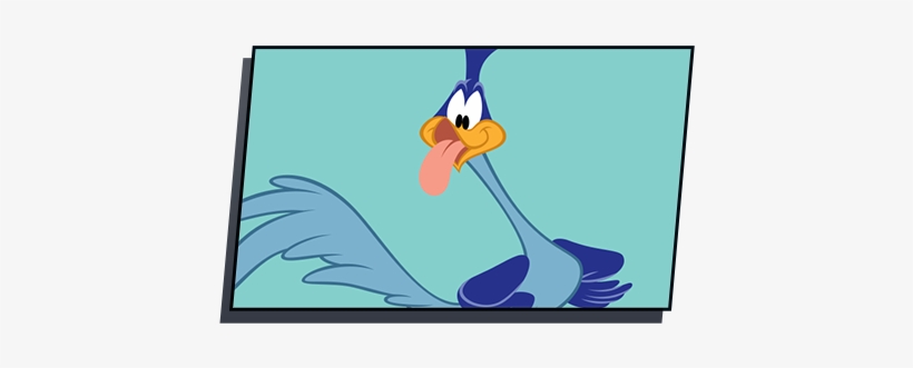 Road Runner Cartoons Png, transparent png download