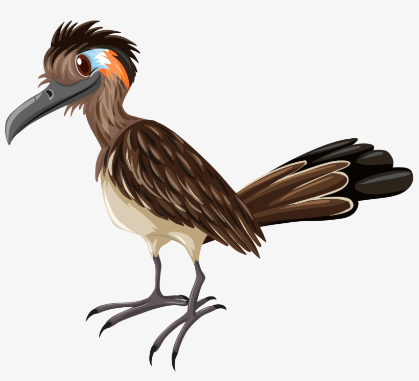 Reservations - Different Birds, transparent png download