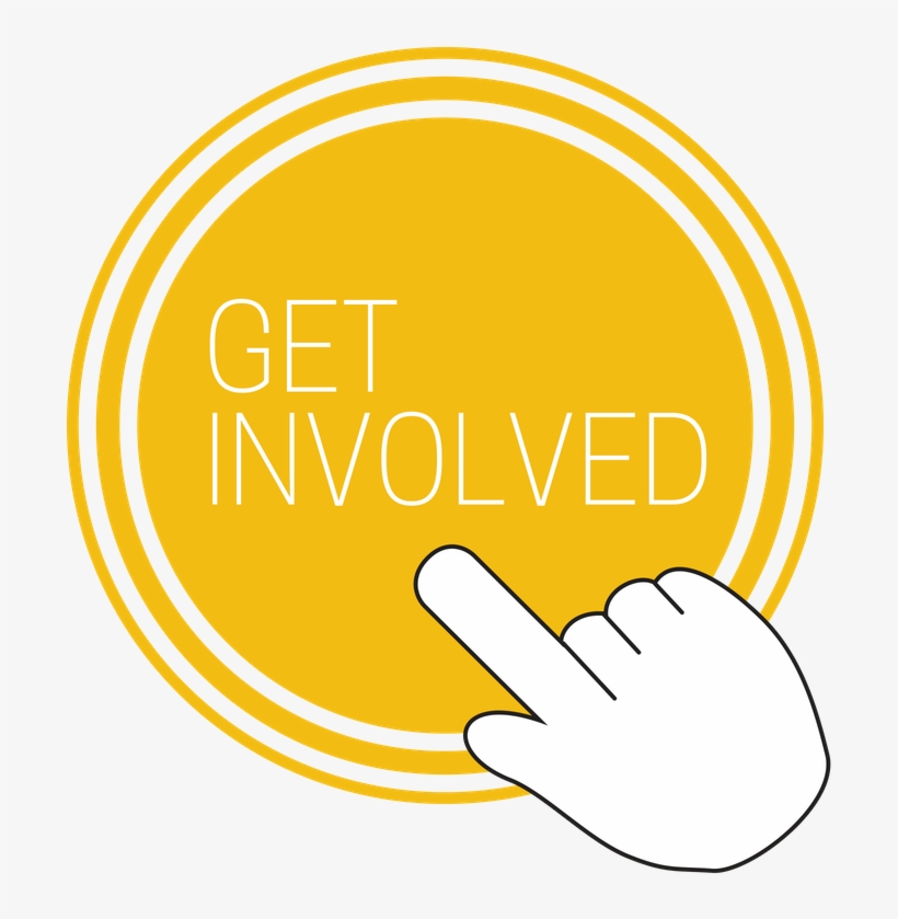 Humane Treatment For Carriage Horses Now - Charleston, transparent png download