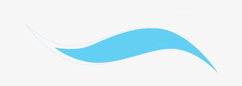 Constitution - Sponsor, transparent png download