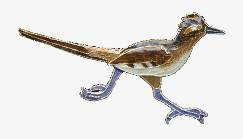 Road Runner Bird Png, transparent png download