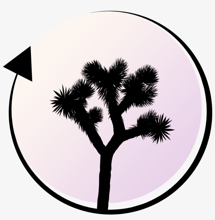 Photos - Portable Network Graphics, transparent png download