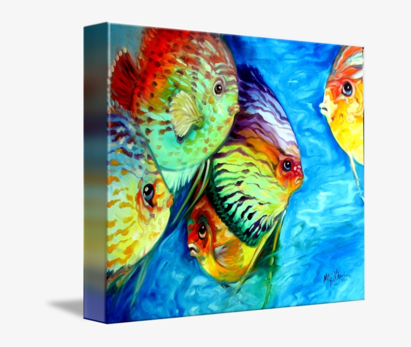"tropical Fish Colors" By Marcia Baldwin, Wesley - Imagekind Gallery-wrapped Canvas Art Print 13 X 11, transparent png download