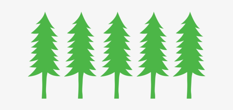 Beaverton Holiday U-cut Christmas Tree Farm - Ejercicios De Caligrafia 10, transparent png download