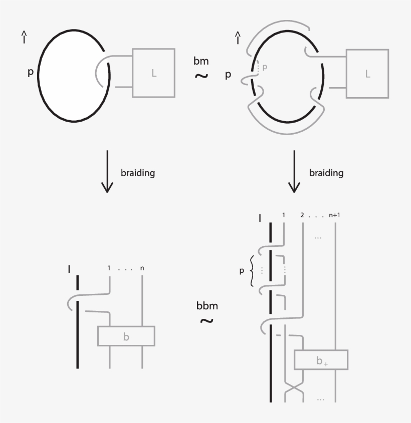 Sotopy In L And The Two Types Of Braid Band Moves - Jpeg, transparent png download