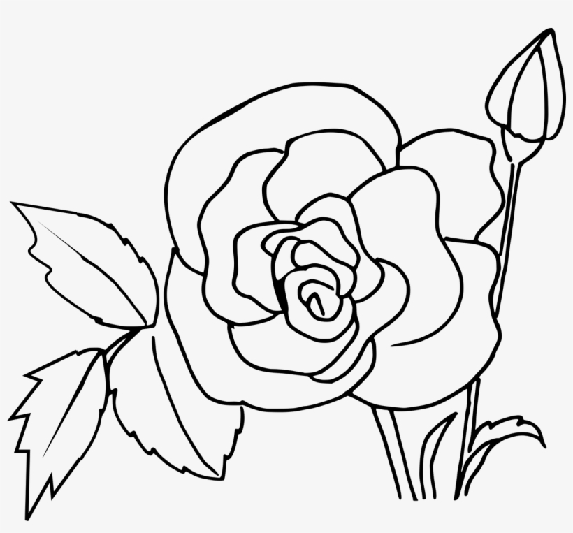How To Make Drawing Of Rose 14 Free Printable Rose - Картинки За Оцветяване Цветя, transparent png download