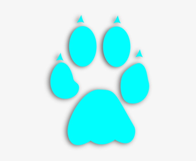 Circle, transparent png download