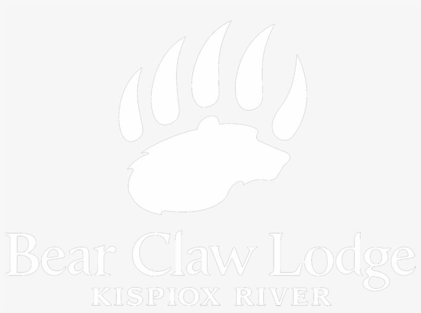 Sketch, transparent png download