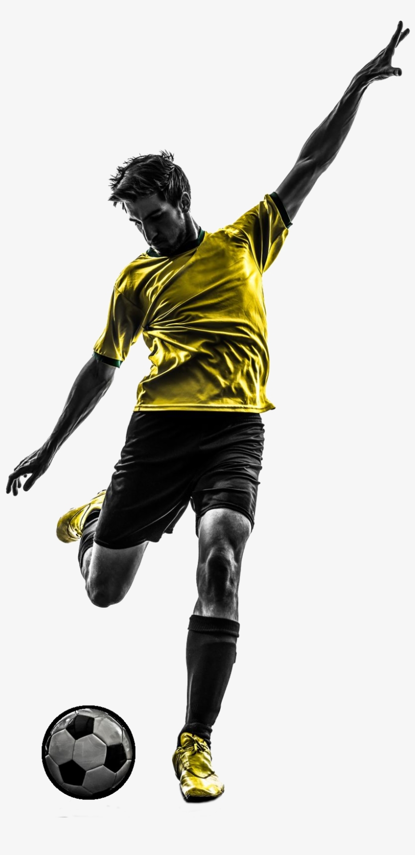 See Example - Marketing Plan For Physical Therapy Services, transparent png download