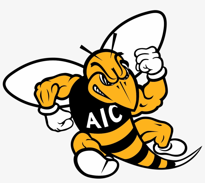 Aic Yellow Jackets, transparent png download