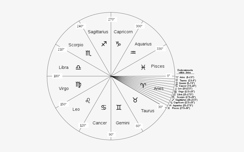 257 × 240 Pixels - Diagram, transparent png download