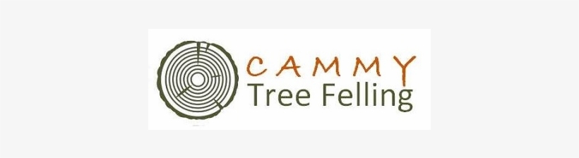 Amare Un Ricordo, transparent png download