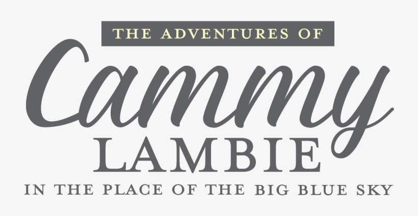 Your Child Will Join Cammy Lambie In One Full Day Of - The Adventures Of Cammy Lambie In The Place Of The, transparent png download