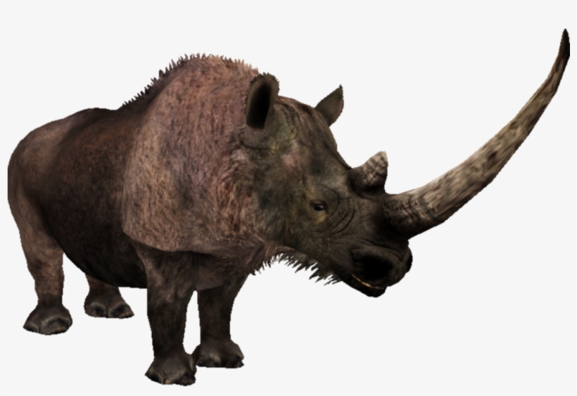 Woolly Rhino - Zt2 Woolly Rhino, transparent png download