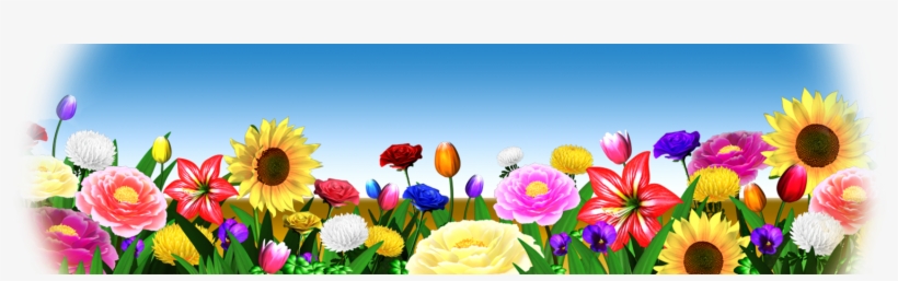 Usf Rose Background - Sunflower, transparent png download