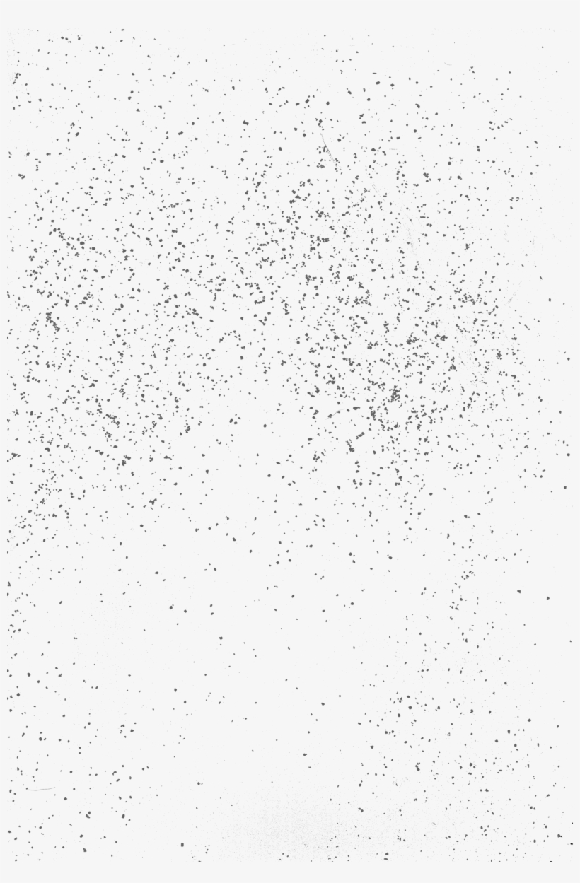 Gritbg - Bird, transparent png download