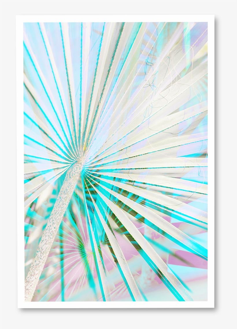 Neon Light Palms ~ N° - Visual Arts, transparent png download