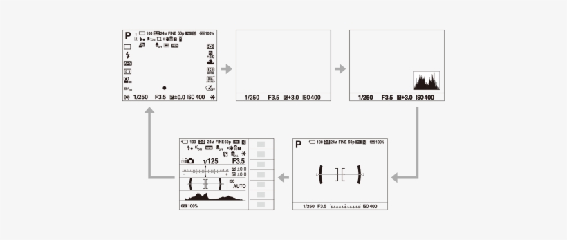 Histogram → Level → For Viewfinder → Display All Info - Histogram Knippert Sony Camera, transparent png download