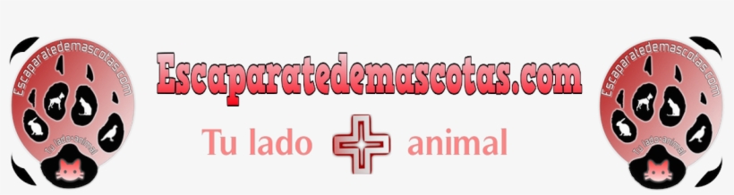 Mark Sinclair Vincent, Nacido En Nueva York El 18 De - Dog, transparent png download