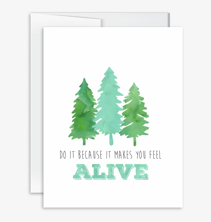 160105 V=1502226540 - Product, transparent png download