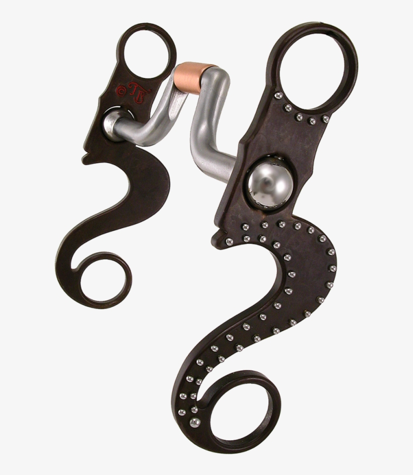 Eva Marie Hinge Port - Equine Bit #83 - Eva Marie Hinge Port, transparent png download