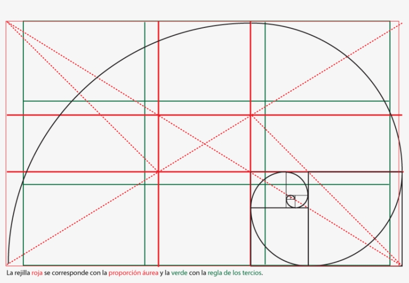 Visit - Regla De Los Tercios Proporcion Aurea, transparent png download