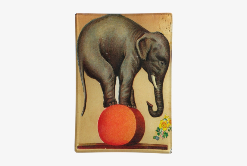 $66 John Derian Company Inc Circus Elephant - Circus Elephant, transparent png download