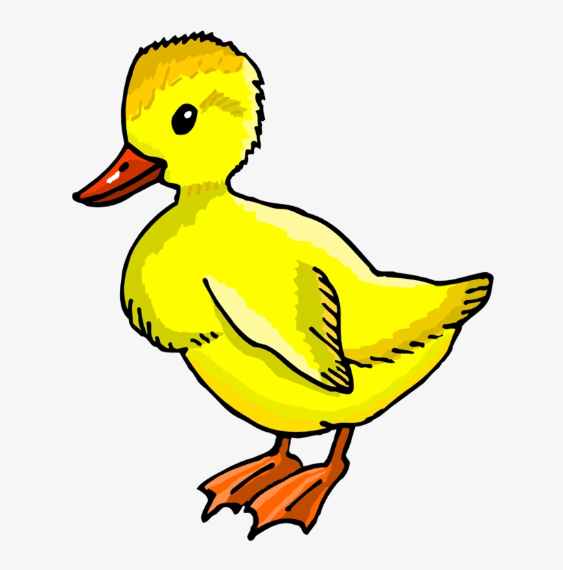 Duck Clip Kid Clipart - Duckling Clip Art, transparent png download