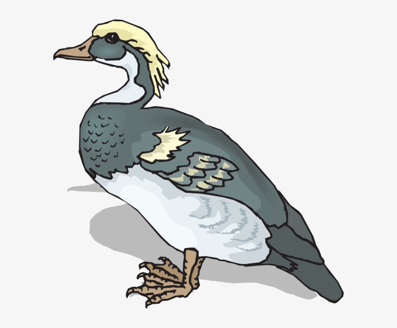 Blue And Yellow Duck Svg Clip Arts 600 X 597 Px, transparent png download
