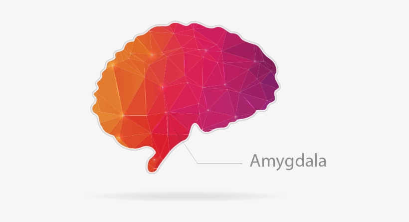 Caveman Brain - “ - Icon, transparent png download