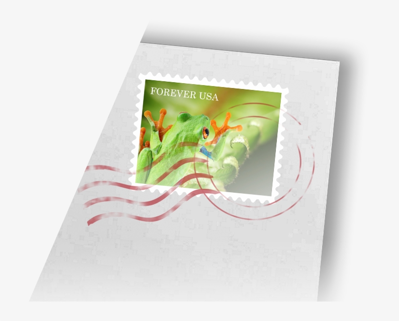 Proven Printers - Graphic Design, transparent png download