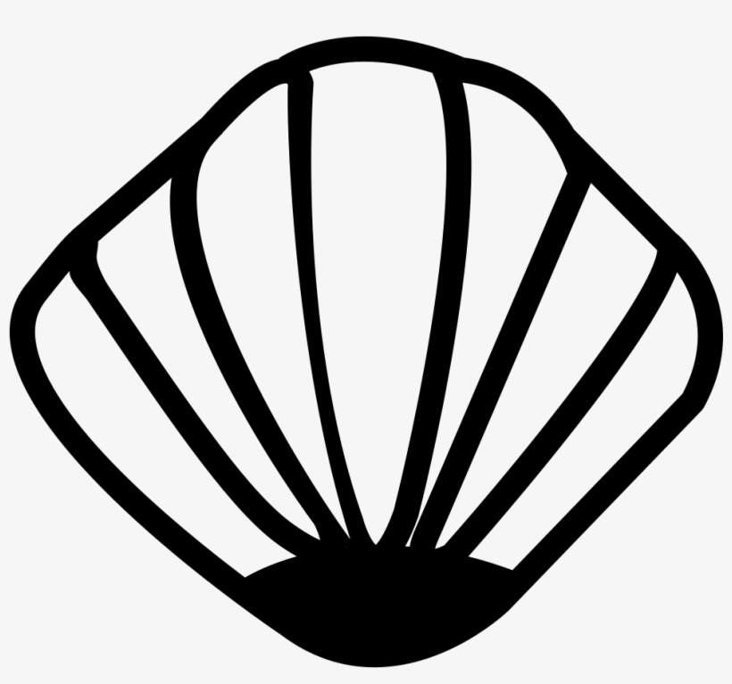 Clam Shell - - Iconos De Almeja, transparent png download