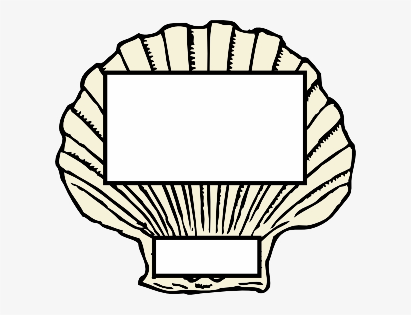 Back &gt Gallery For Black Clam Shell Clipart - Transparent Sea Shell Clip Art, transparent png download