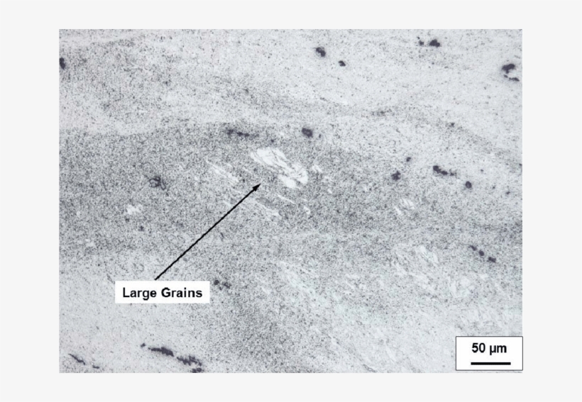 Large White Grain Clusters In A Microsection Of The - Concrete, transparent png download