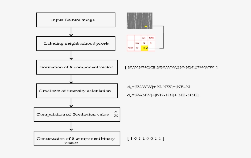 Overview Of New Texture Descriptor Extraction Download - Gradient, transparent png download
