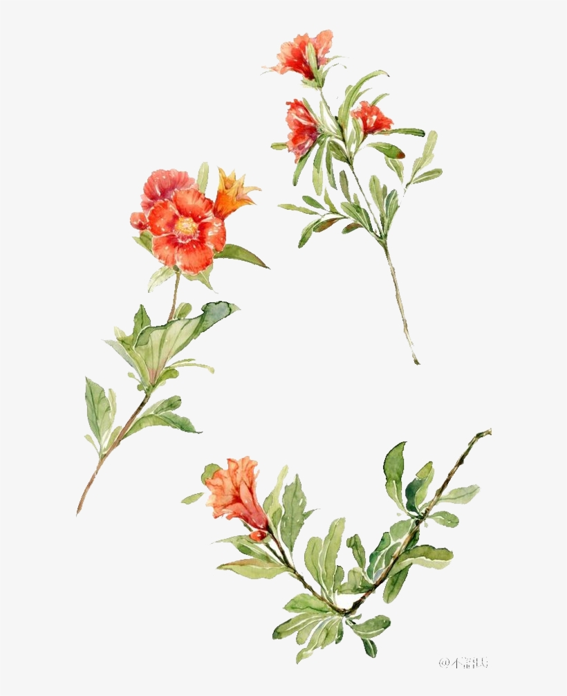 Jpg Freeuse Flowers Floral Design Watercolor Painting - Watercolor Painting, transparent png download
