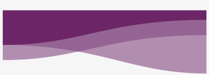 Lilac, transparent png download