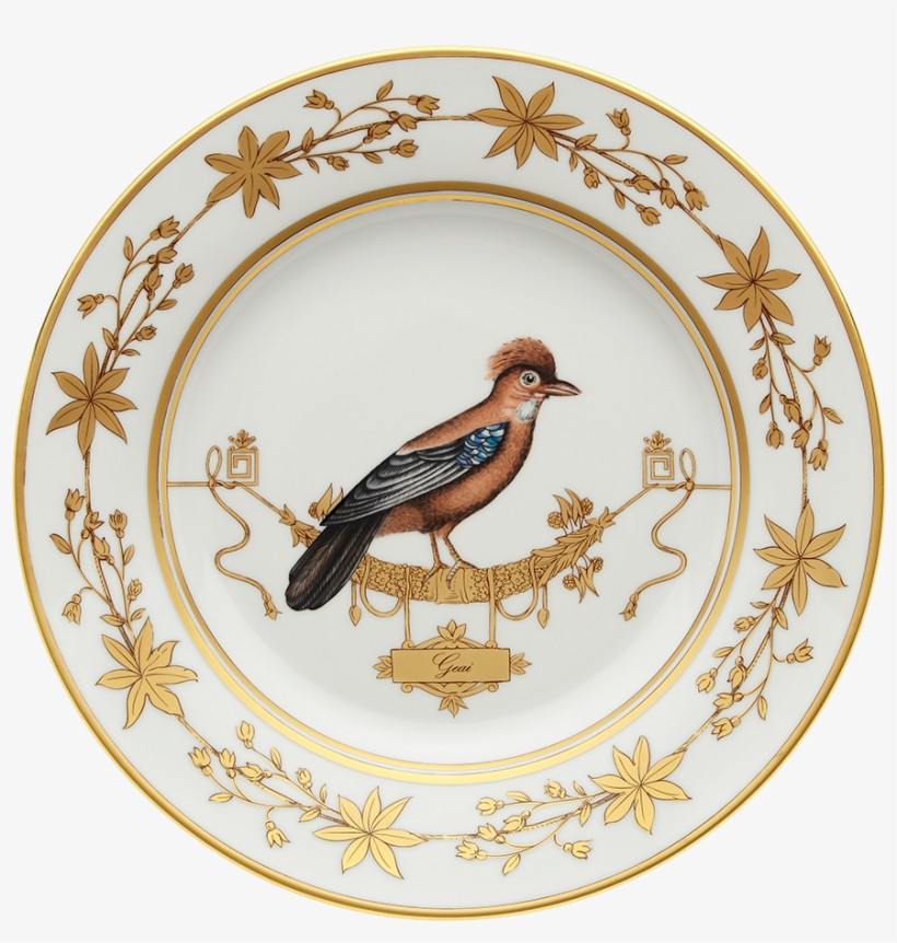 Richard Ginori Voliere Plates Voliere Cou Jaune - Ginori Voliere, transparent png download