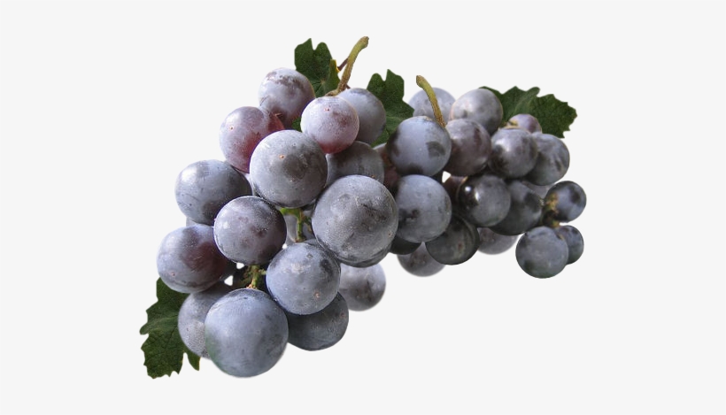 Raisin2 - Fruit, transparent png download