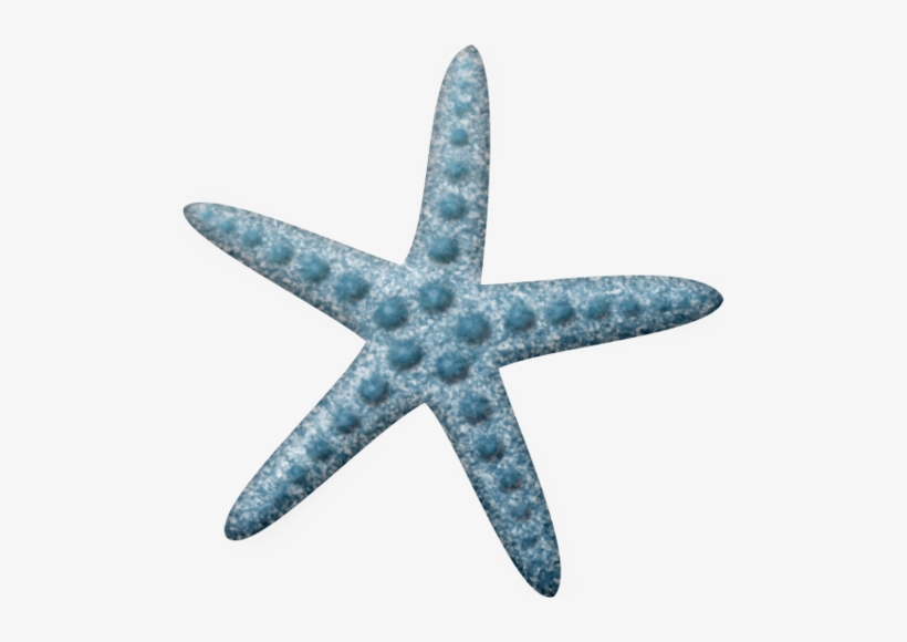 Starfish Clipart Fake - Estrellas De Mar Clip Arts, transparent png download