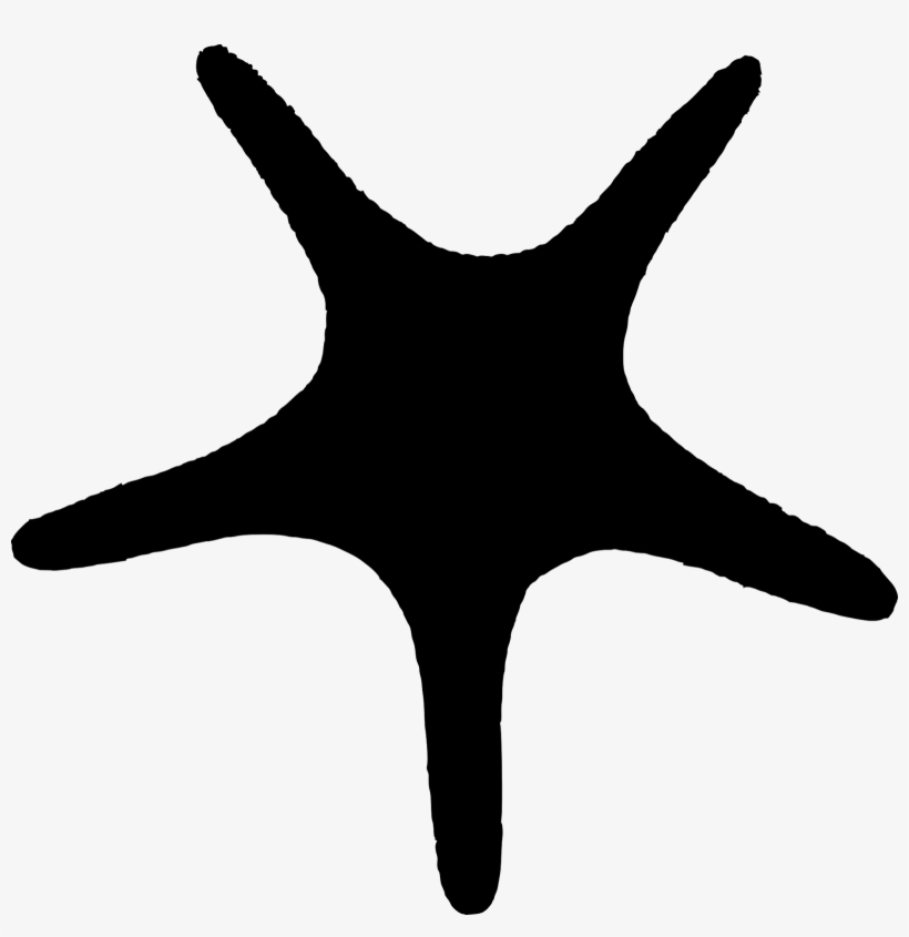 Picture Freeuse Library Silhouette At Getdrawings Com - Starfish, transparent png download