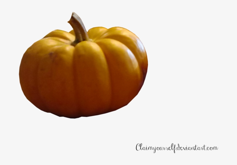 Mini Pumpkin Precut Stock Png By Tris - Pumpkin, transparent png download
