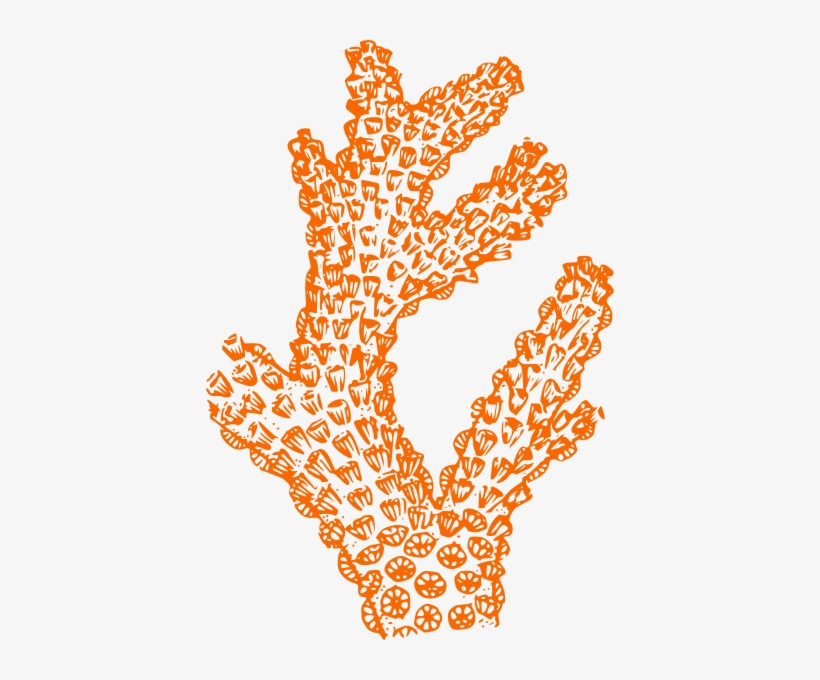Coral And Turquoise Starfish Clip Art At Clker - Coral Clip Art, transparent png download