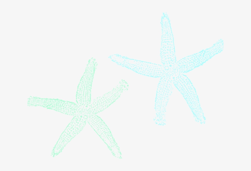 Starfish Cliparts Vector Private Listing For Pam 2 Pair Custom