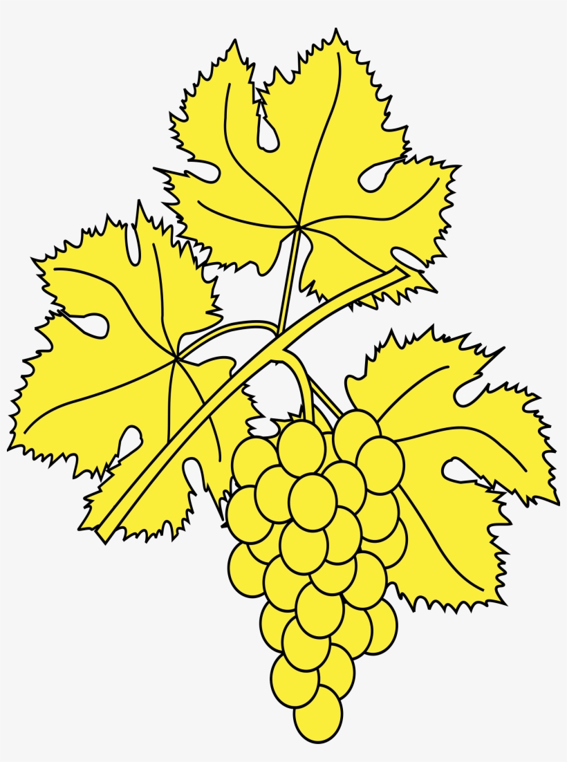 Open - Hoja De Parra Dibujo, transparent png download