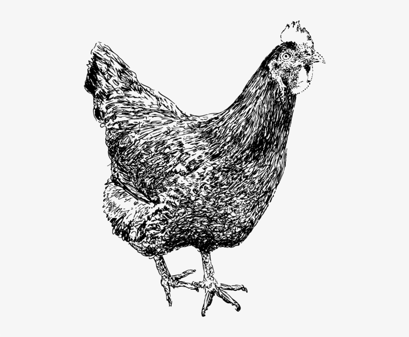 Keep In Touch - Rooster, transparent png download