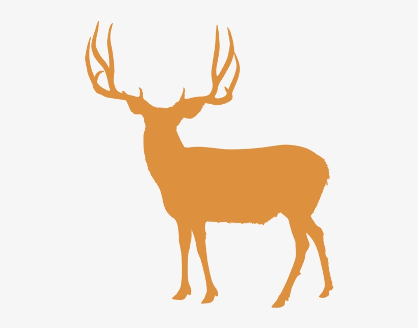Select A Species To Learn More - Antler Attakk Deer Mineral Supplement, 10-pound, transparent png download