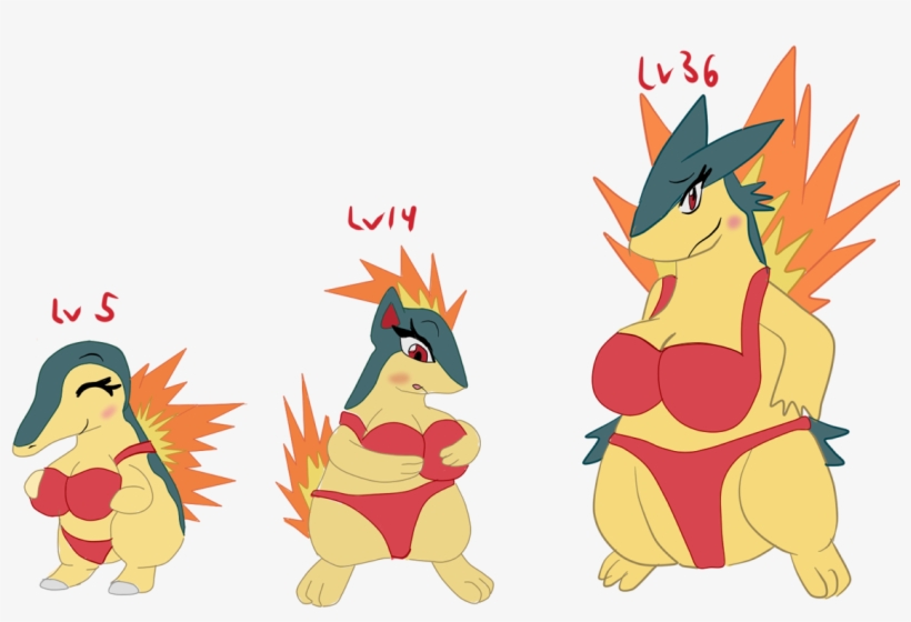 Evolution Of Cyndaquil - Cyndaquil Evolution, transparent png download